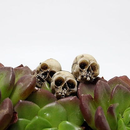 Eforcase 20PCS Miniature Skulls Heads Halloween Figurines Skeleton Skull Statues Ornament Halloween Prank Props Halloween Trick Toy Favors Crafts, Decoration for Desktop, Halloween and Easter