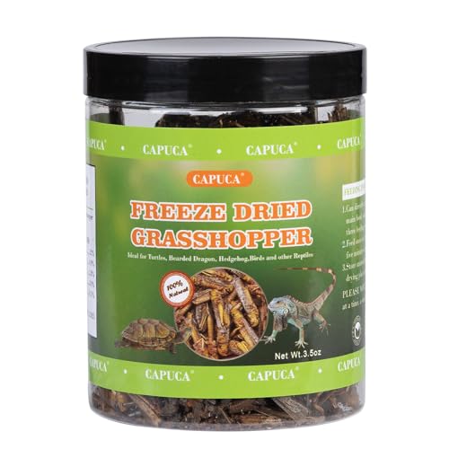 Dried Grasshoppers for Reptiles - All Natural High Protein Insect Treats for Bearded Dragons, Turtles, Geckos, Lizards, Hedgehogs & Birds (3.5oz)