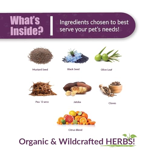 AMBER NATURALZ Reptaid XL Herbal Supplement for Large Reptiles | Herbal Pet Supplement for Immune Support | for Reptiles Above 250g | 1 Fluid Ounce Glass Bottle | Manufactured in the USA - size: Over 250 grams