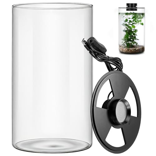 Desktop Glass Plant Terrarium with Grow Light 10 X 6IN - Planter for Succulent Moss Miniature Gardening Landscape, Fish Tank Indoor Plant Growth Office Home Decoration Plant Lovers Gifts
