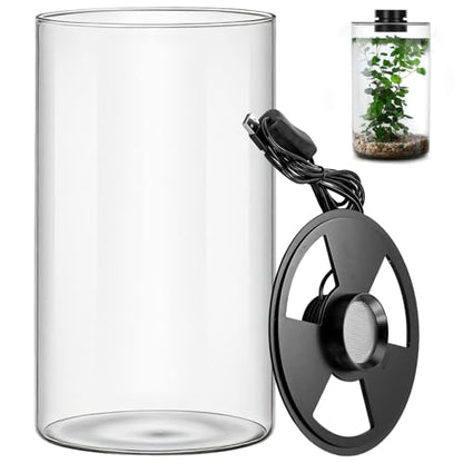 Desktop Glass Plant Terrarium with Grow Light 10 X 6IN - Planter for Succulent Moss Miniature Gardening Landscape, Fish Tank Indoor Plant Growth Office Home Decoration Plant Lovers Gifts