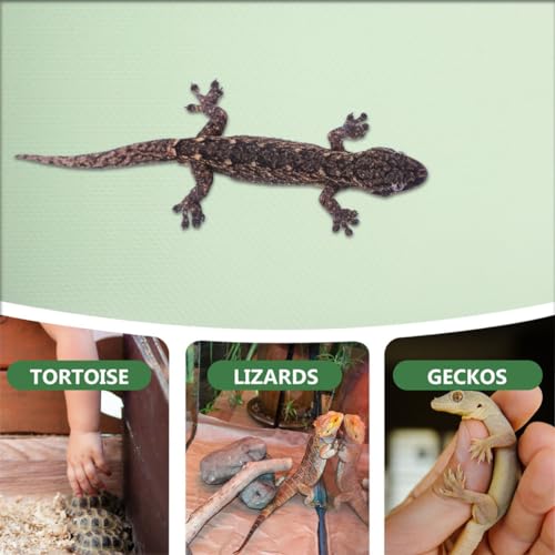 FRCOLOR 2pcs Reptile Carpet Mat for Terrarium Eva Substrate Liner for Leopard Bearded Dragon Snake and Turtle Soft Bedding for Reptile Enclosures