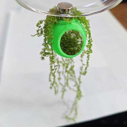 Jumping Spider Enclosure Accessories 4Pcs Cocoon-Shaped Jumping Spider Hideaway with Artificial Moss and 1 Pcs Resting Platform Magnetic Small Animal Shelter Toy (Light Green) - color: Light Green
