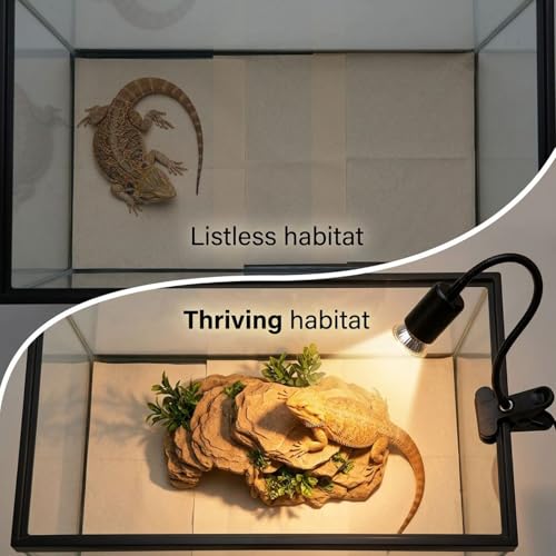 Black Reptile Heat Lamp with 13.8 in Flexible Gooseneck, Timed Dimming Switch, Sturdy Plastic Clip, US Connector, for Lizards, Turtles, Tortoises, Other Pet Reptiles