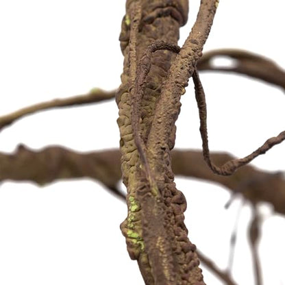 Pangea Reptile Ultimate Vine for Terrarium Habitat (Brown) - color: Brown