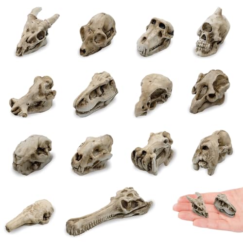 14 Pcs 1.5 Inch Mini Resin Animal Skull Heads Miniature Animal Skull Figurines Mini Halloween Skulls Mini Skull Figurine Miniature Skulls for Crafts Halloween Christmas Micro Landscape Decor