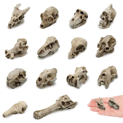 14 Pcs 1.5 Inch Mini Resin Animal Skull Heads Miniature Animal Skull Figurines Mini Halloween Skulls Mini Skull Figurine Miniature Skulls for Crafts Halloween Christmas Micro Landscape Decor