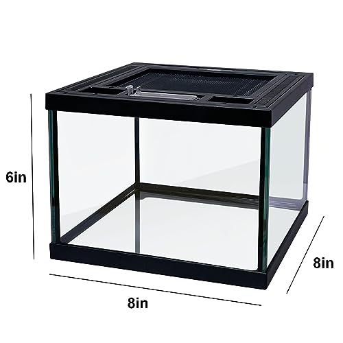 Mini Reptile Glass Terrarium Tank 8 * 8 * 6" Full View, Amphibians Box Habitat Enclosure Cage for Frog,Spiders,Dubia Cockroach,Praying Mantis,Cricket,Tarantula,Hermit Crab - size: 8*8*6inch