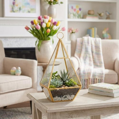D'Eco Glass Gold Pyramid Centerpiece (5x5x10) - Hanging Planter Terrarium - Spring Home & Wedding Decor - Fill with Succulents, Cacti, Air Plants, Moss, Flowers for Plant Lovers