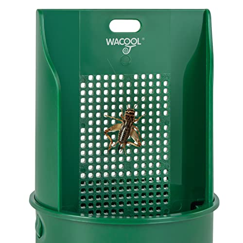 WACOOL Hanging Reptile Feeding Bowl with Grid Plate for Bugs Climbing & Move, Arboreal Reptile Climbing Feeder Bowl for Feeding Chameleon, Lizard, Iguana, Gecko, Frog