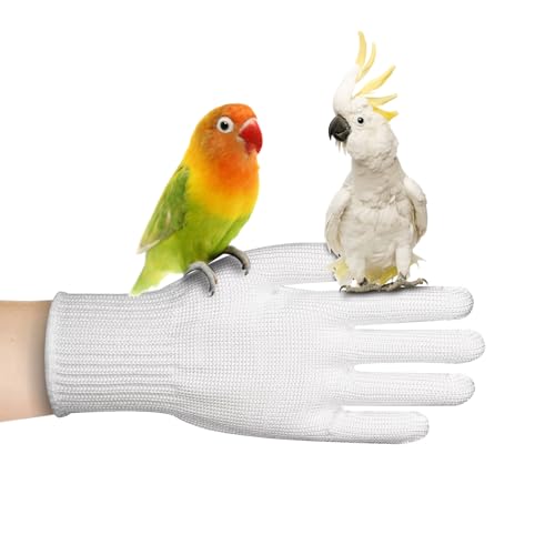 Bird Training Anti-Bite Gloves, Bite Proof Gloves, Small Animal Handling Chewing Protective for Small Animal Pet（White）
