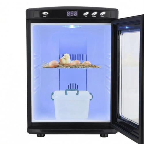 Garvee Black Reptile Incubator, 25L Scientific Lab Incubator, Cooling and Heating Temperature 5-60℃ Digital Incubators for Small Reptiles, Eggs, Quail - color: Black