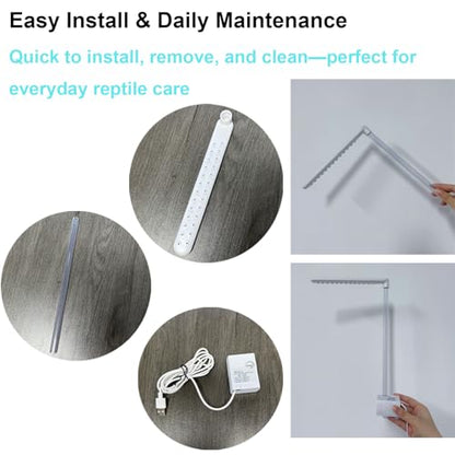 Accessories for Bearded Dragon Pool,Bearded Dragon Fountain & Bathing Accessories, – Gentle Water Flow, Low-Noise Pump, Versatile for Reptile Tanks.