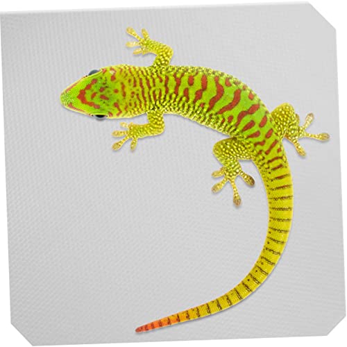 SUPVOX Eva Material Reptile Carpet Terrarium Liner for Bearded Dragon Soft Substrate Mat for Gecko Snake Lizard Turtle Comfortable Hideout - color: White
