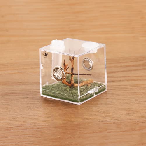 Jumping Spider Micro Middle Habitat, Small Pet Insect Breeding Box, 360 Degree Transparent Reptile Cage, Acrylic Case Mini Carrier for Amphibians, Feeding Container Enclosure Accessories - size: 2x2x2.1inches