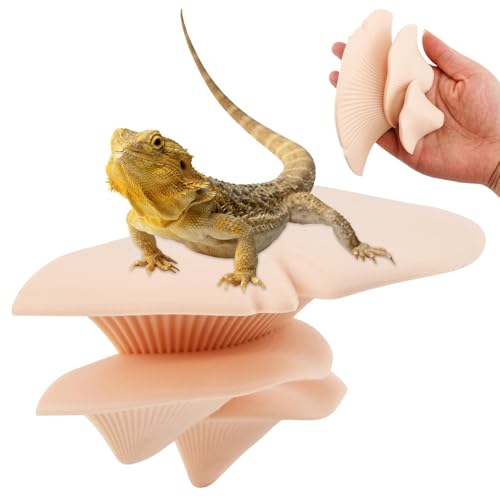 Mushroom Reptile Ledge, Mushroom Decor for Reptile Tank, Tree Frog Terrarium Tank Accessories Magnetic Ledge Ladder Pet Spider Accessories(Color:Apricot) - color: Apricot