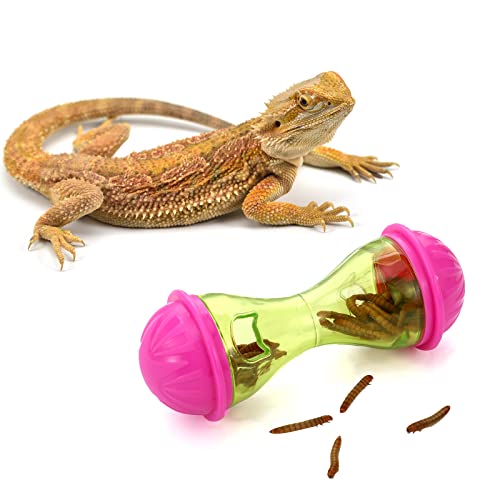 Kathfly 3 Pcs Bearded Dragon Toys for Tank Bearded Dragon Accessories Tank Accessories Reptile Enrichment Toys Habitat Interactive Plaything for Lizard