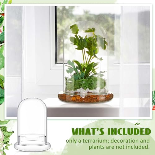 1 PC 5.9 x 7.9 Inch Glass Terrarium Dome Cloche with Air Hole & Glass Base, Clear Terrarium Containers Ventilated Plant Humidity Dome for Carnivorous Plants Orchids Tropical Cuttings, No Leakage - size: 5.9 x 7.9 Inch