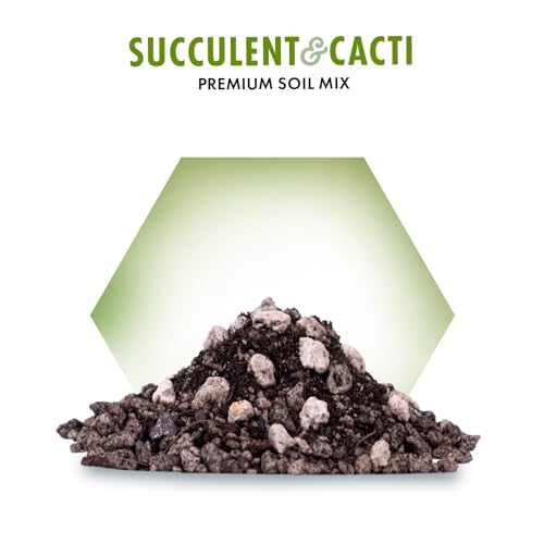 Premium Succulent Soil Mix for Indoor & Outdoor Plants - Fast-Draining Potting Soil for Succulents, Cacti, & Houseplants - Natural Blend with Pumice for Optimal Plant Growth - 4 Quarts