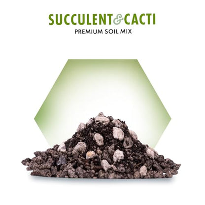 Premium Succulent Soil Mix for Indoor & Outdoor Plants - Fast-Draining Potting Soil for Succulents, Cacti, & Houseplants - Natural Blend with Pumice for Optimal Plant Growth - 4 Quarts