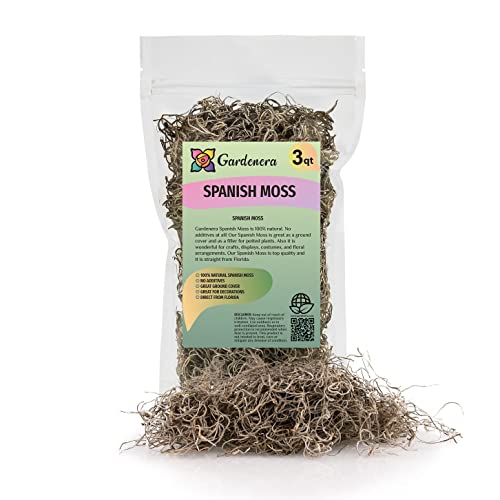 Gardenera Premium Natural Spanish Moss | Natural Preserved - Great Ground Cover - Filler for Potted Plants - 3 Quart Bag - color: SPANISH MOSS, size: 3 Quart