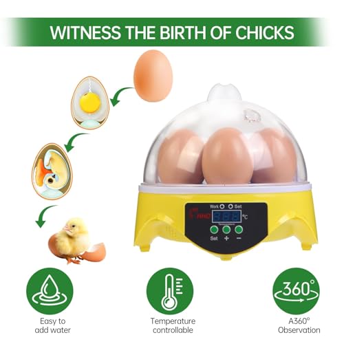 7-Egg Mini Egg Incubator with 360° View, Educational Hatching Kit for Kids, Classrooms & Families, Automatic Temperature Control & Manual Humidity Control, Suitable for Chicken, Duck & Quail Eggs