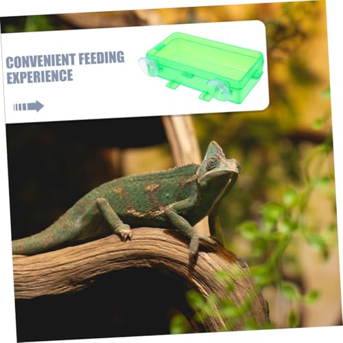 BESPORTBLE Reptile Feeding Bowl with Suction Cup Gecko and Lizard Dish for Food and Water Easy to Clean and Install for Snake and Reptile Tanks Small Green