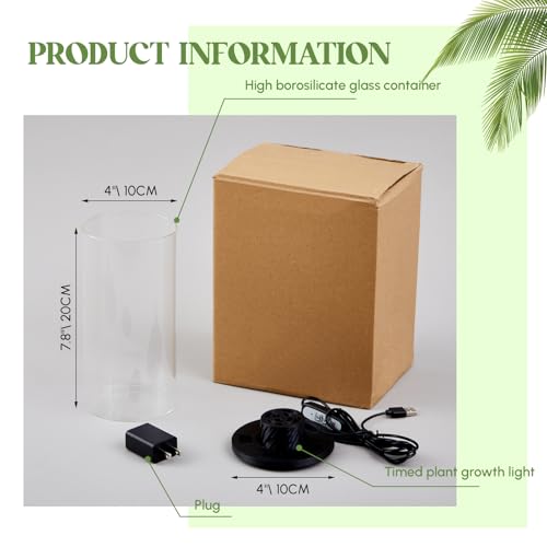 Maxdot Glass Plant Terrarium Kit with LED Grow Light, Desk Terrarium for Venus Fly Trap, Succulents, Moss & Miniature Garden, Borosilicate Glass Desktop Planter for Home Office(7.9 x 3.9 Inch) - size: 7.9 x 3.9 Inch