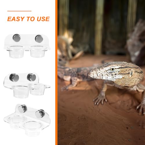 POPETPOP Gecko Feeding Ledge: Reptile Food Bowl, Lizard Water Bowl, Magnetic, Portable, Modern Style, Transparent, Plastic, 12.00X6.50X5.50CM