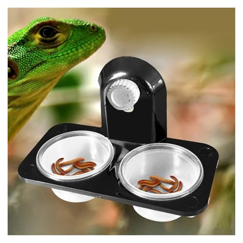 Reptile Tank Accessories Insect Spider Ants Nest Snake Gecko Food Water Feeding Bowl Terrarium Breeding Feeders Box Pets Supplie(Single bo) - color: Single bo