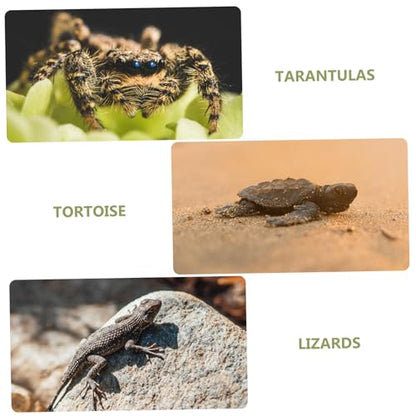 BESPORTBLE Reptile Carpet Mat Wear-Resistant Substrate for Snakes Lizards Tortoises and Amphibians Imitation Grass Terrarium Liner Moisture Retention Mat