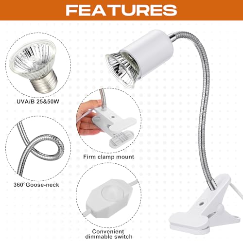3 Set Reptile Heat Lamp UVA/UVB Turtle Heat Lamp Holder Fixture Clamp Basking Spot Adjustable 50w Full Spectrum Sun Sunbathe Bulb for Turtle Lizard Bearded Dragon Snake Aquarium Amphibian(White) - color: White