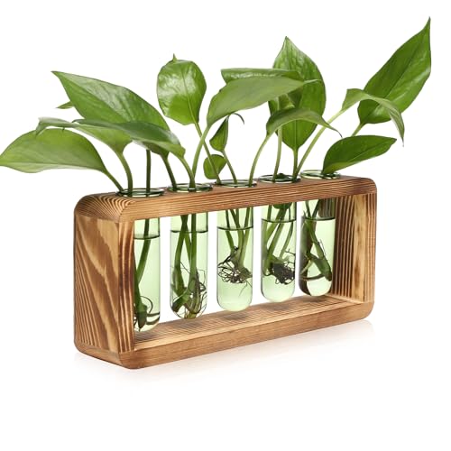 Glass Plant Propagation Station with 5 Test Tubes Colorful Planter Vase Birthday Gifts for Women in Wooden Stand - color: Green