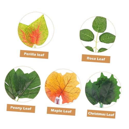 Hemoton 10pcs Reptile Tank Plants Set with Suction Cups, Lifelike Artificial Terrarium Plant Decor Leaves for Chameleon, Lizard, Snake Habitat, Aquarium and Reptile Enclosure Accessories