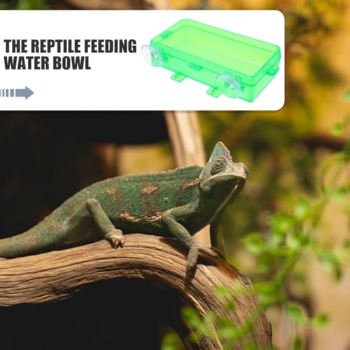Cabilock Reptile Food Dish and Water Bowl with Suction Cup, Large Green Plastic Feeder for Bearded Dragon, Chameleon, Gecko, Suitable for Feeding Insects and Hydration in Terrariums