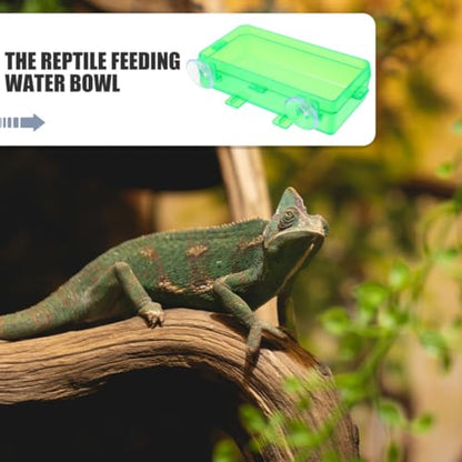 Cabilock Reptile Food Dish and Water Bowl with Suction Cup, Large Green Plastic Feeder for Bearded Dragon, Chameleon, Gecko, Suitable for Feeding Insects and Hydration in Terrariums