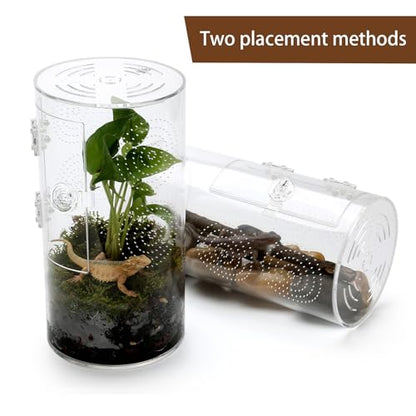 Jumping Spider Enclosure, 11.5”*6”*6”, Air Hole 3/64" Micro Habitat Terrariums, Arboreal Reptile Tank with Front Opening Door,Tarantula Enclosure, Plant Greenhouse