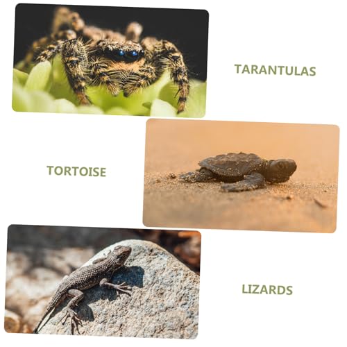 Abaodam Reptile Terrarium Carpet Mat Reusable Fake Moss Bedding for Snakes Lizards Turtles Moisture Retaining Substrate for Climbing Pets Reptile Accessory