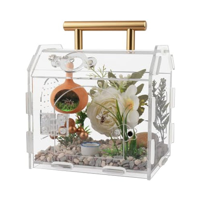 Jumping Spider Enclosure,Premium Acrylic Spider Enclosure - Ideal for Tarantulas, Reptiles, and Insects - Easy Assembly & Feeding - All-Round Transparent Terrarium
