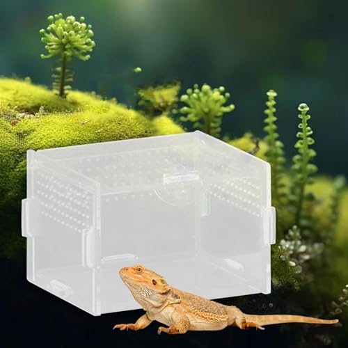 Reptile Breeding Box Terrarium Habitat Tank Transparent Acrylic Enclosure with Ventilation Holes for Snakes Frogs Turtles Geckos Small Animals- 10x8x7cm