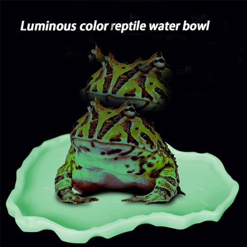 Luminous Reptile Food Bowl,Large Water Dish,Terrarium Bowls, Tortoise Bowl (Black) - color: Black