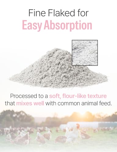 NICE WITCH'S Oyster Shell Flour 1.1 lb (500 g) – Finely Ground Calcium for Chickens, Ducks, Birds, Reptiles, Amphibians & More – Natural Source of Calcium | Korean Oyster Shell Powder/굴껍질 가루