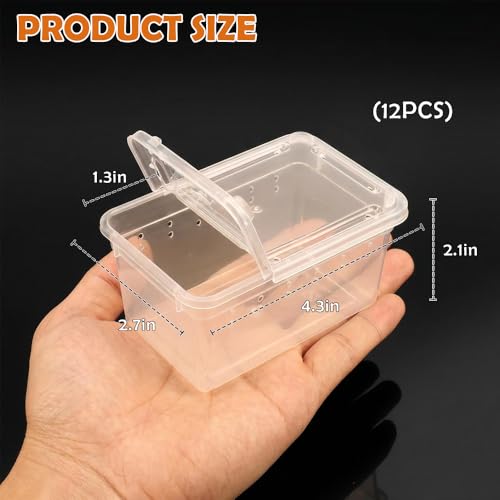 12 Pcs Mini Reptile Feeding Box, 3.6 x 2.1 x 1.9 inch Plastic Spider Terrarium Breeding Container with Ventilation Holes, Transparent Habitat Cage for Jumping Spider Tarantula Scorpion Gecko Insect