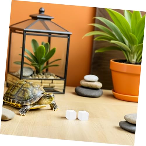 Tortoise Calcium Blocks 6pcs Calcium Cubes for Reptile Health Supplement Turtle Tank for Enhanced Strength