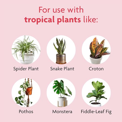 Miracle-Gro Tropical Potting Mix, For Container Plants, Use with Snake Plants, Spider Plants, Pothos, Monstera, 6 qt., 3-Pack - size: 3 Pack, style: Potting Mix