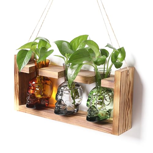 Plant Terrarium Propagation Stations Hydroponics Halloween Skull Planter | Vase skulls decor With Wooden Stand Gife for Father - color: Color-04