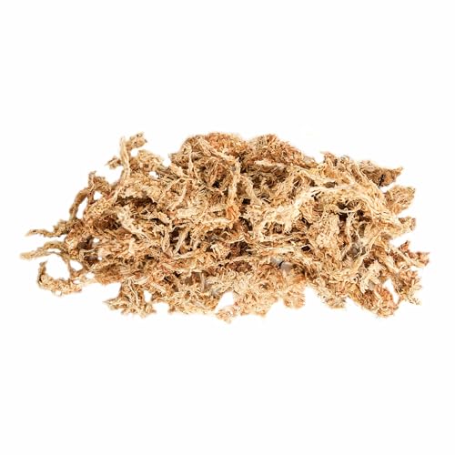 Galápagos (05351) Arid Environment Terrarium Kit Ideal for Reptiles, Amphibians, & Small Critters, 4.5 QT Box, Natural