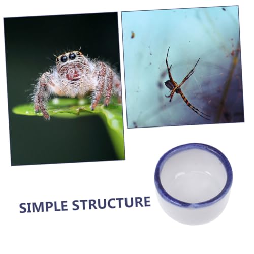 Happyyami 12pcs Mini Ceramic Reptile Water Dish for Enclosures Space-Saving Feeding Bowl for Small Pets Versatile Design for Species