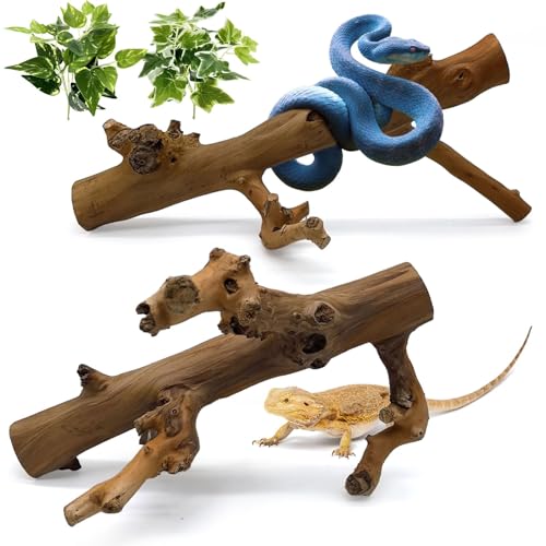 kathson 2PCS Snake Climbing Branch,Reptile Wood Branches Decor, Lizard Natural Polished Wood Climb Accessories,Reptiles Habitat Tank Tree Trunk Decorations for Bearded Dragon Geckos Chameleons Frog - color: Polished Reptile Climbing Wood