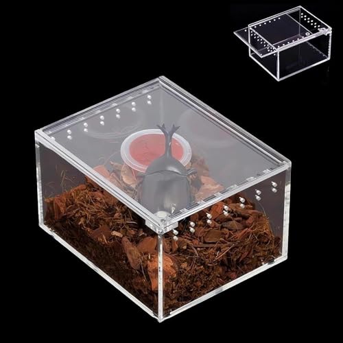 Reptile Terrarium Breeding Box Ventilated Container Enclosure for Lizards Terrapin Crayfish Snake- 10.5cmx8.5cmx6cm